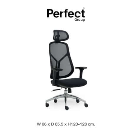 เก้าอี้ทำงานเพื่อสุขภาพ Perfect SWAN SERIES รุ่น 503AB สีดำ_0